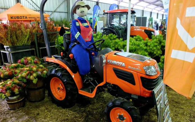 Gansbaai Gaan Bos Gaan Fynbos 2